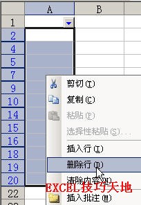 利用筛选法快速清除Excel2003空白单元格